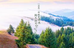 开云体育app-孤星闪耀，2026世界杯决赛，卢卡库用一场横扫重塑足球版图
