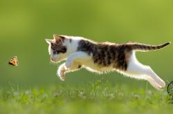 开云体育-冰与火之歌，绝杀之刃与钢铁屏障，同夜奏响的足球二重奏