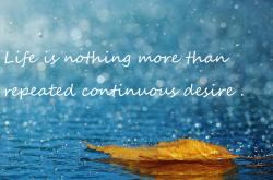 开云体育app-铁血与獠牙，当伊拉克的集体意志咬碎了苏亚雷斯的个人英雄主义