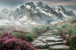 开云体育APP下载-硬仗之夜，世界在此连接，约基奇与太阳队如何证明唯一的真义