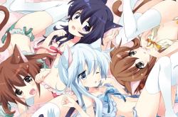 开云体育中国-绿茵突围与赛道接管，唯一性的双重奏