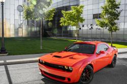 开云体育APP下载-跨越万里的击掌，哥斯达黎加与几内亚特奥选手如何点燃人类共同赛场