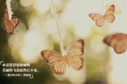 开云体育登录-寒冷与热血的交响诗，挪威铁律如何冰封红军烈焰