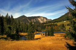 开云体育入口-唯一性竞技场上的双重信条，马刺式稳定与利拉德式接管