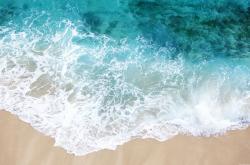 开云体育app-世纪之锤，凯塞多如何以一记完美弧线将阿尔及利亚送上荣耀之巅