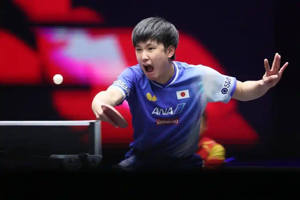 关于法国乒乓球队碾压德国乒乓球队，张本智和打破历史纪录的信息