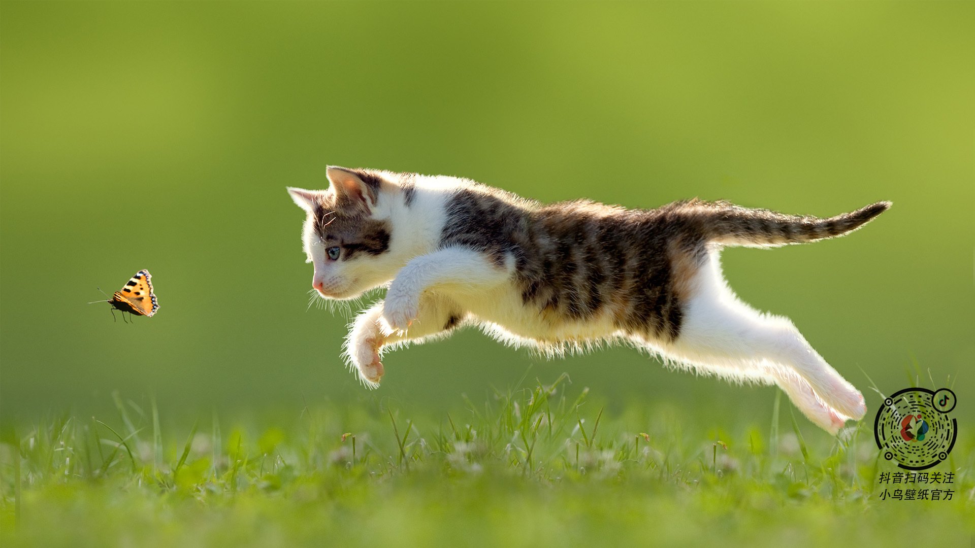 从温网阴影到伦敦加冕，梅德韦杰夫的暗面重生