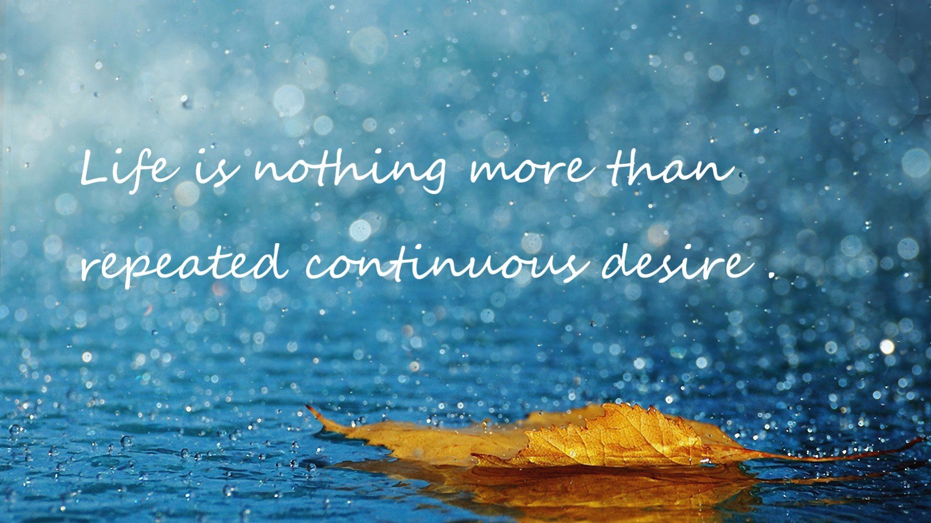 铁血与獠牙，当伊拉克的集体意志咬碎了苏亚雷斯的个人英雄主义