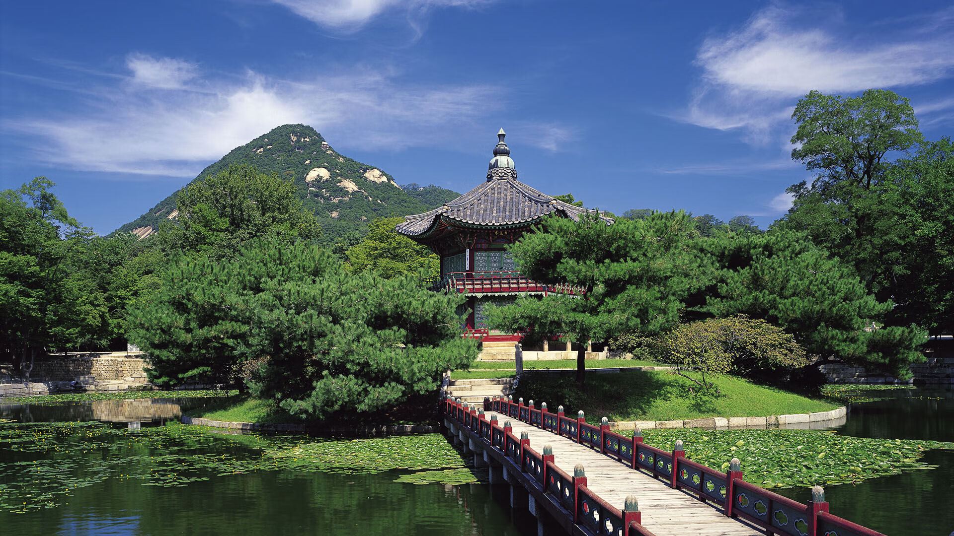 绿茵与硬木的共鸣，意甲焦点战启示吉林队轻取骑士的胜利密码