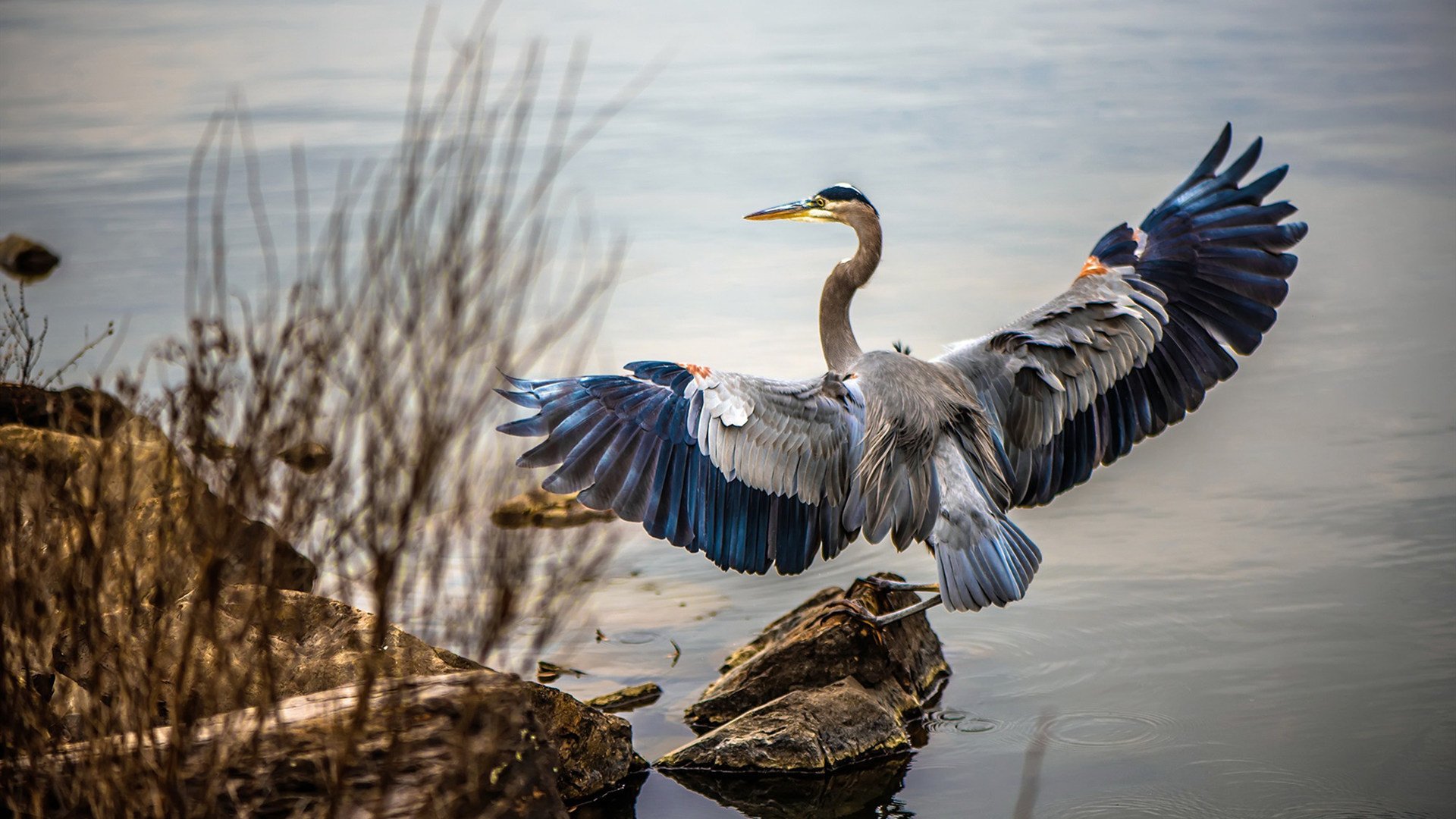 青绿对决,魔术翻盘背后的利拉德时间哲学