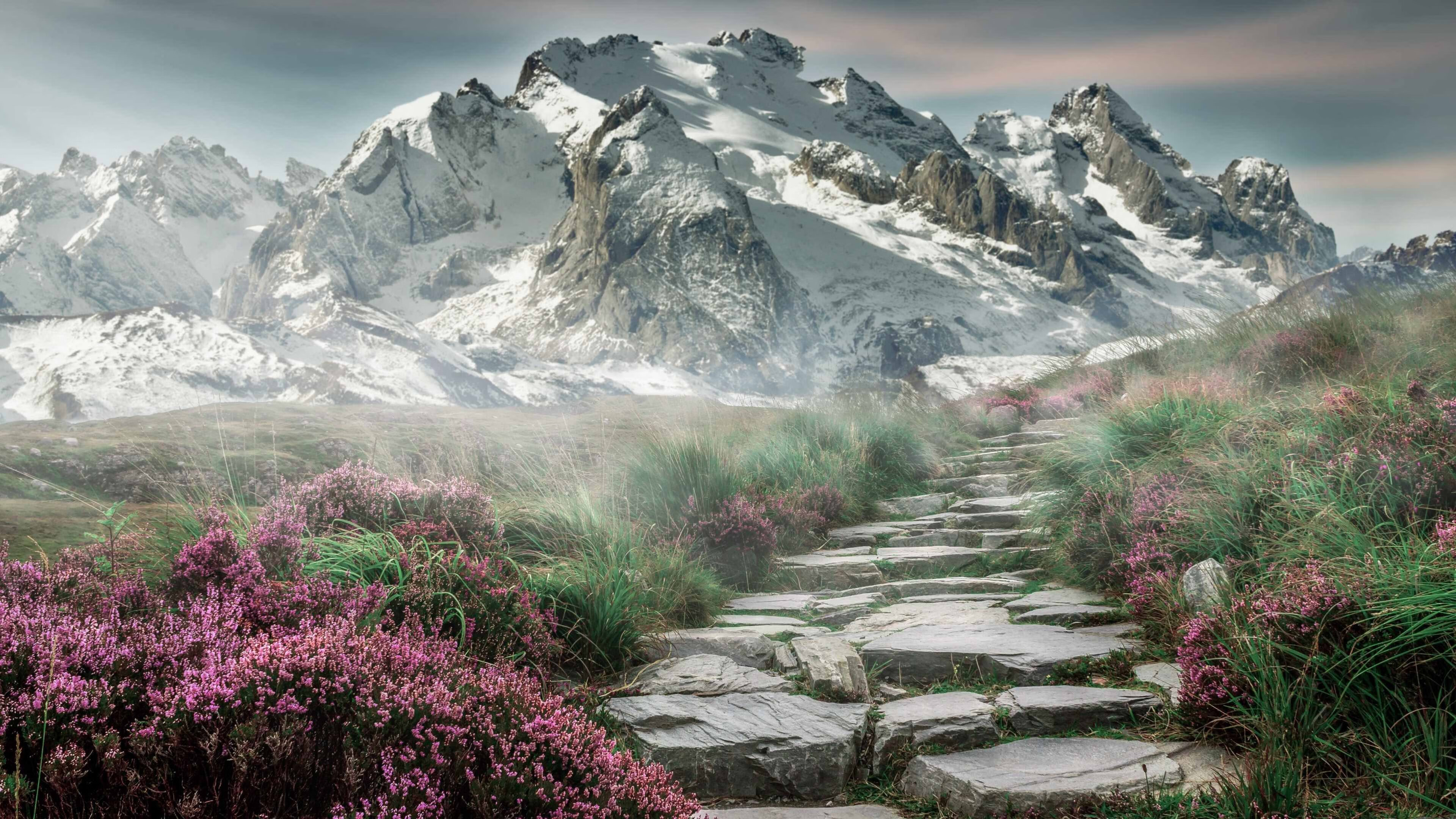 硬仗之夜，世界在此连接，约基奇与太阳队如何证明唯一的真义