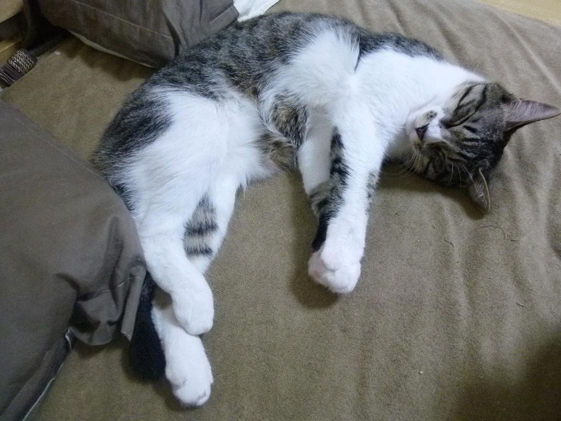 阿圭罗的闪电与中国的长城，足球胜利的两种模样