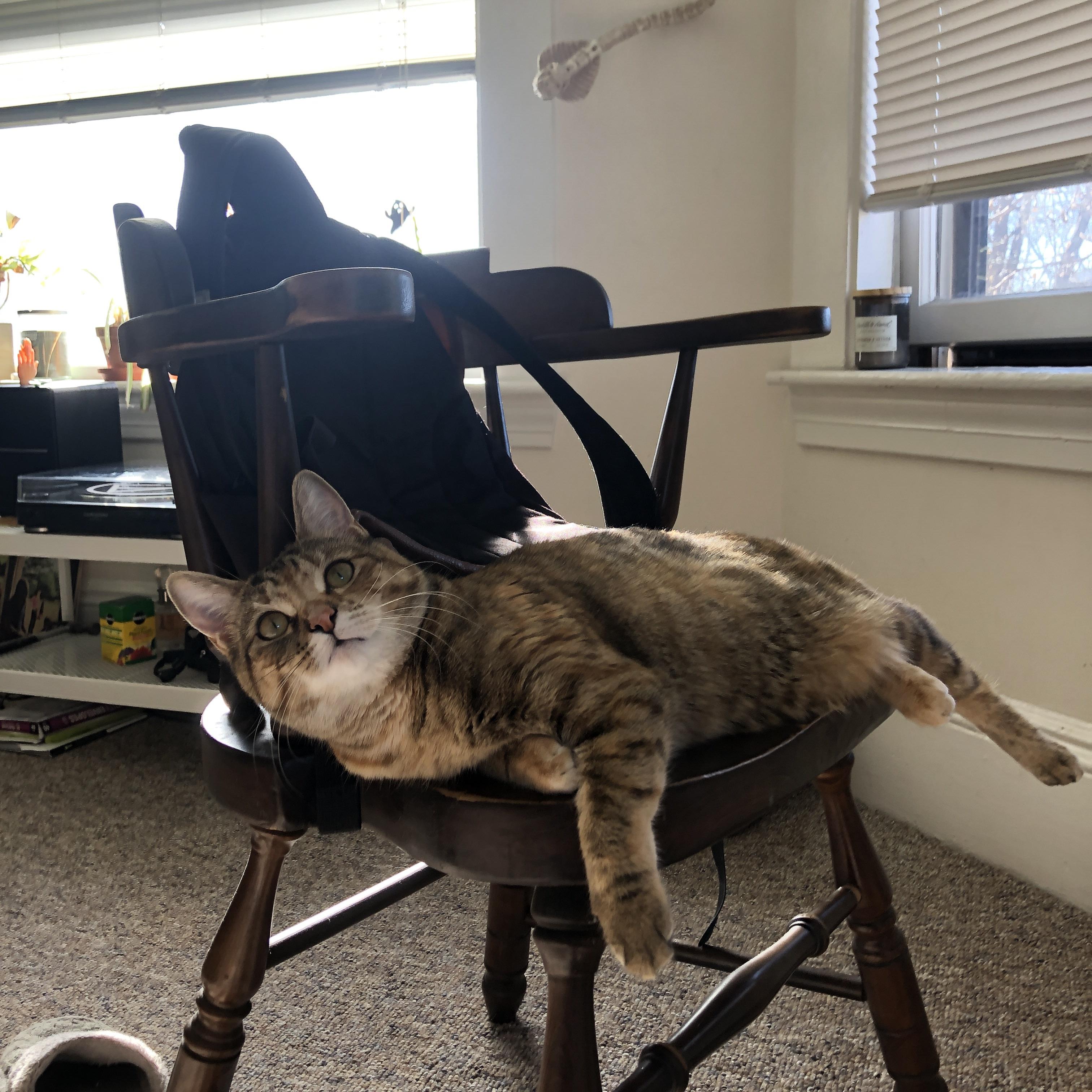 奥斯梅恩爆发闪耀赛场，委内瑞拉全面压制瑞典显实力