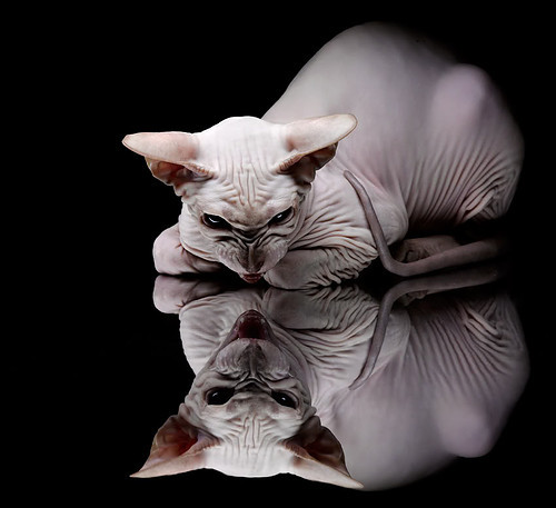 布克持续制造杀伤，步行者对阵魔术的战术镜像