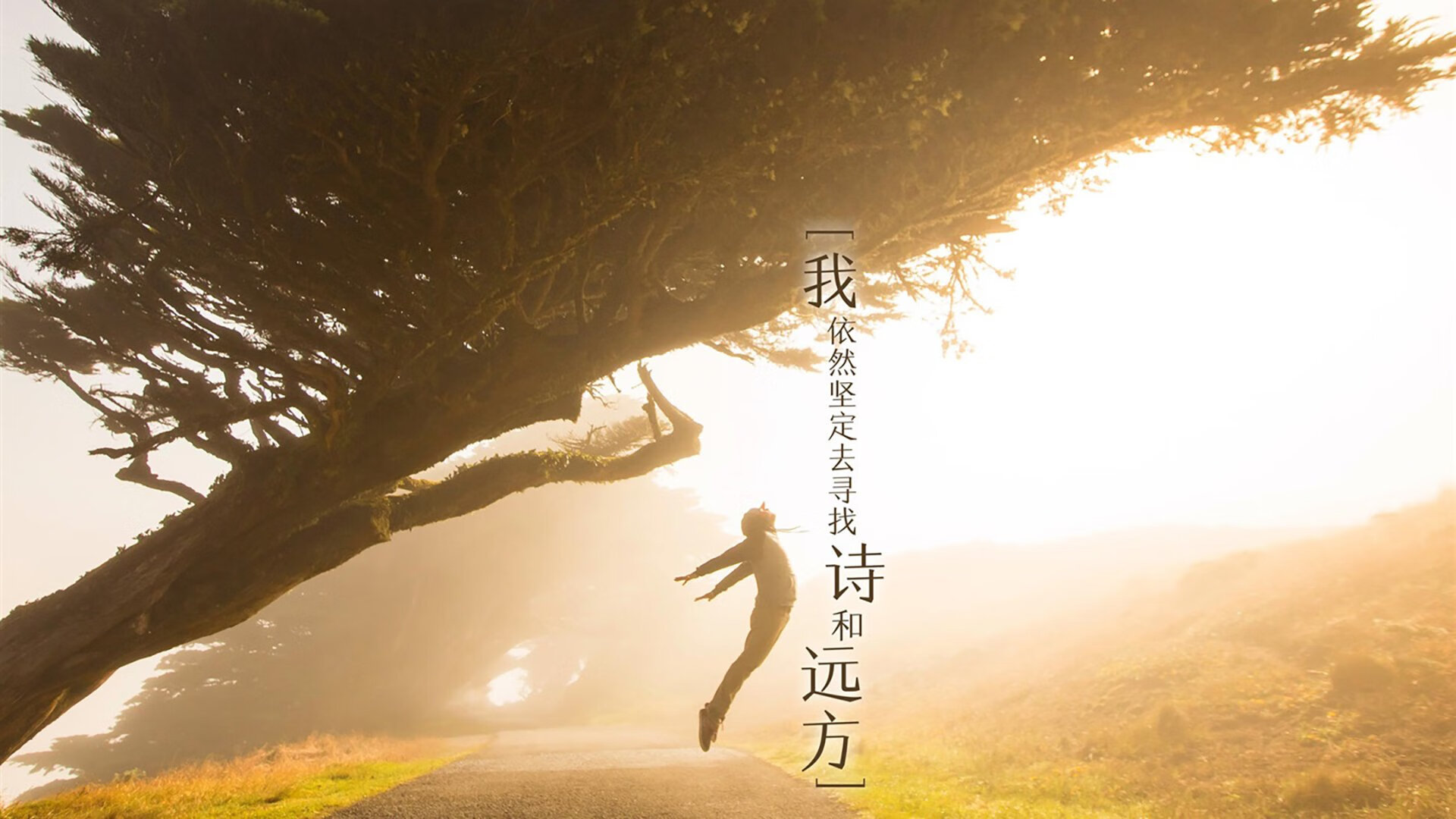 永不谢幕的传说,2026世界杯A组,C罗压哨绝杀,哥伦比亚在罗马尼亚的梦碎中重生