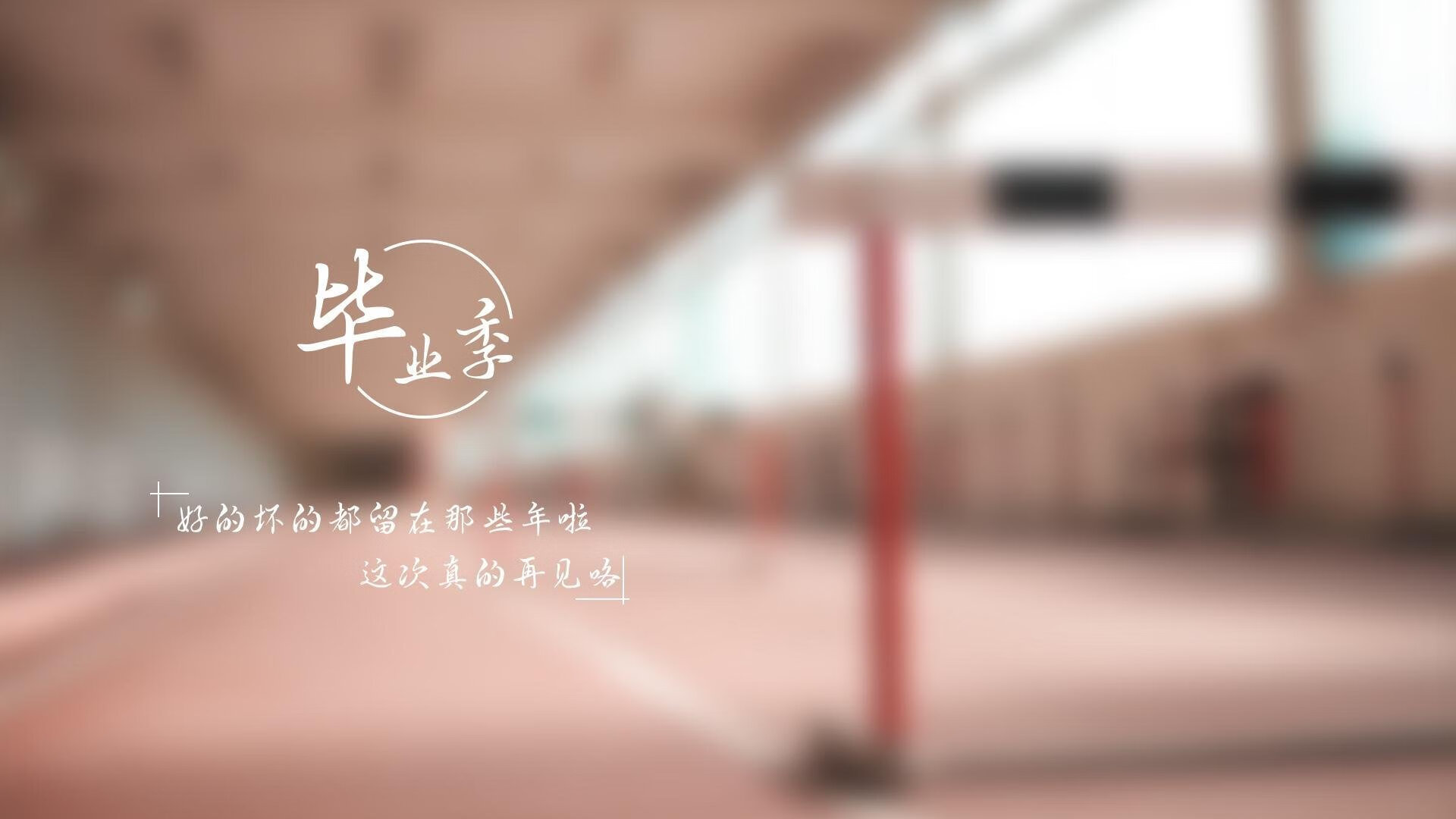 王权以铁腕重塑,2026世界杯八分之一决赛,比利时如何用卢卡库法则摧毁美国梦