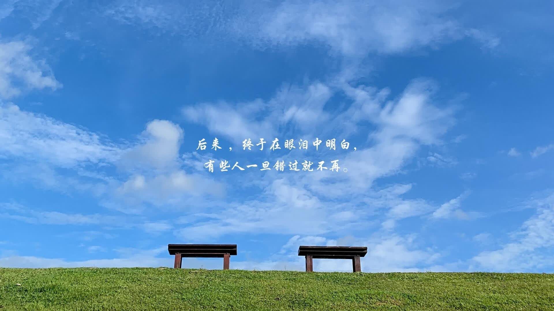 卡塔尔的救赎，当波斯铁骑碾过星条旗，塔雷米为2026世界杯写下最震撼注脚